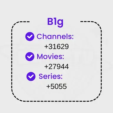 b1g Playlist Overview