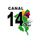 NIC - CANAL 14 logo