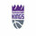 NBA SACRAMENTO KINGS logo