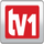 LT - TV1 logo