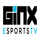 FIN - GINX ESPORTS logo