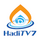 PAK - HADI TV 7 UHD logo