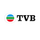 HK - TVB HD logo