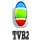 HK - TVB2 logo