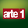 BR - ARTE 1 logo