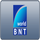 BG - BNT WORD logo