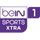 AR| BEIN SPORTS 1 XTRA HD logo