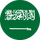 ##### SAUDI ARABIA ##### logo