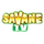 AF - SAVANE TV logo