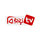 BD | BIJOY TV logo