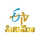 IN | TS Etv Cinema logo