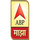 HINDI - ABP NEWS INDIA logo