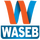 PK - WASEEB TV logo