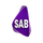 PK - SAB ENTERTAINMENT HD logo