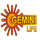 TELUGU - GEMINI LIFE logo