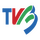 CN - TVB HD logo