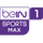 CAR - SPORT MAX 1 logo