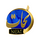 IR - NEJAT FARSI logo