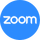 CO - ZOOM ᵛᶦᵖ logo