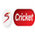 DSTV| SUPERSPORT CRICKET logo