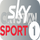 |DE| SKY SPORT 1 HD logo