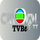 |CN| TVB2 logo