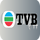 |CN| TVB CHINESE logo