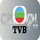 |CN| TVB HD logo