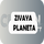 |RU| ZIVAYA PLANETA logo