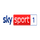 DE - SKY SPORT 1 4K logo