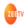 FR - ZEE TV HD logo