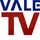 |LATIN| VALE TV VE logo