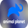 CA ▎ANIMAL PLANET HD logo