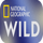 CA ▎NATIONAL GEOGRAPHIC WILD HD logo