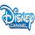 BR| DISNEY CHANNEL HD logo