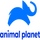 ID| Animal Planet HD logo