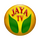 MY| JAYA MAX HD logo