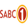 DSTV| SABC 1 HD logo