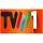 MOZAMBIQUE| TVM1 HD logo