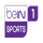 AR | BEIN-SPORTS 1 FHD logo
