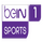 AR| BEIN SPORTS 01 HD logo