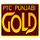 IN| PTC PUNJABI GOLD TV logo