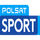 PL| POLSAT SPORT 1 FHD logo