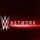 US WWE Network FHD (D) logo