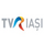 RO | TVR Iasi logo